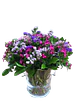 Flores del Sendero - Miniatura 1