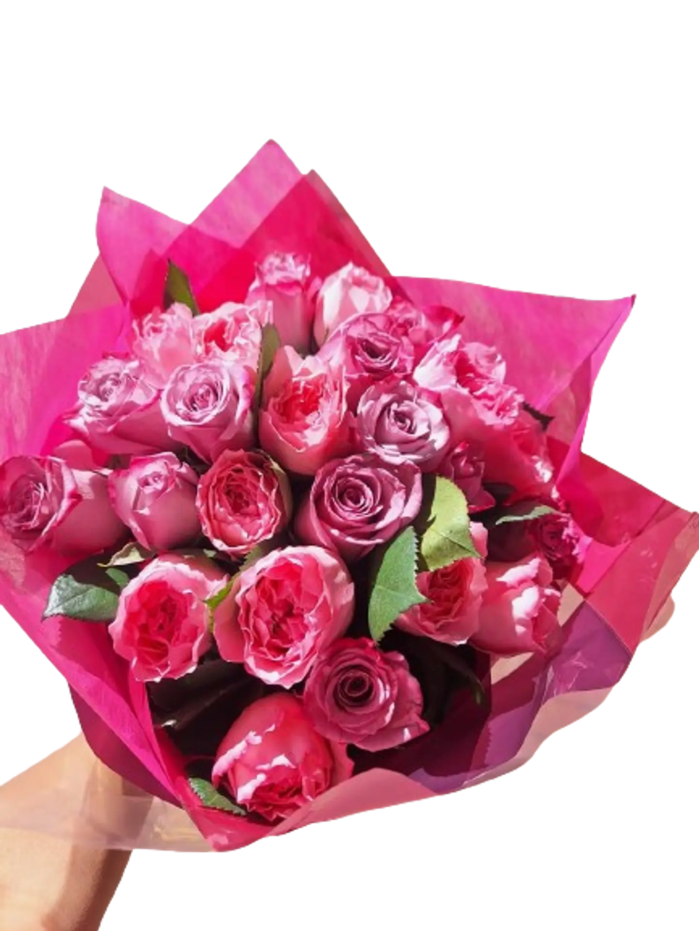 Encanto Violeta 1