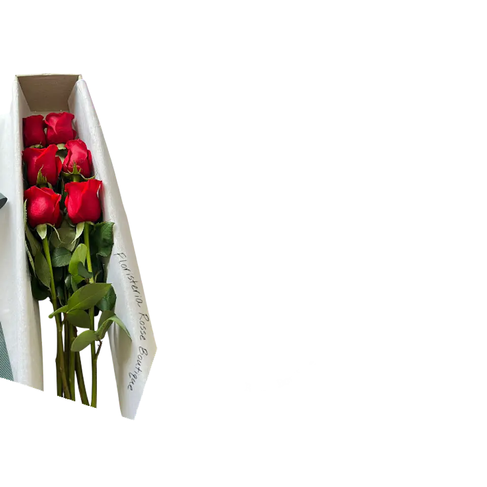 Caja de 6 Rosas Rojas 1
