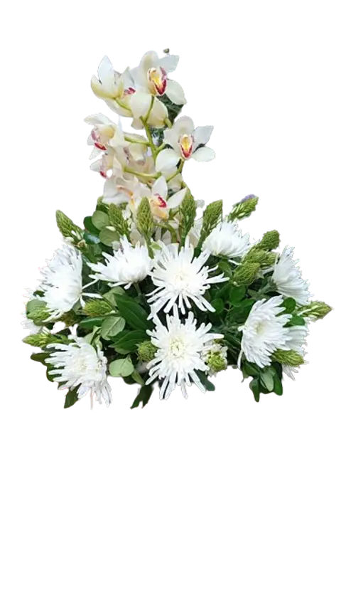 Arreglo de Orquídea en Primavera