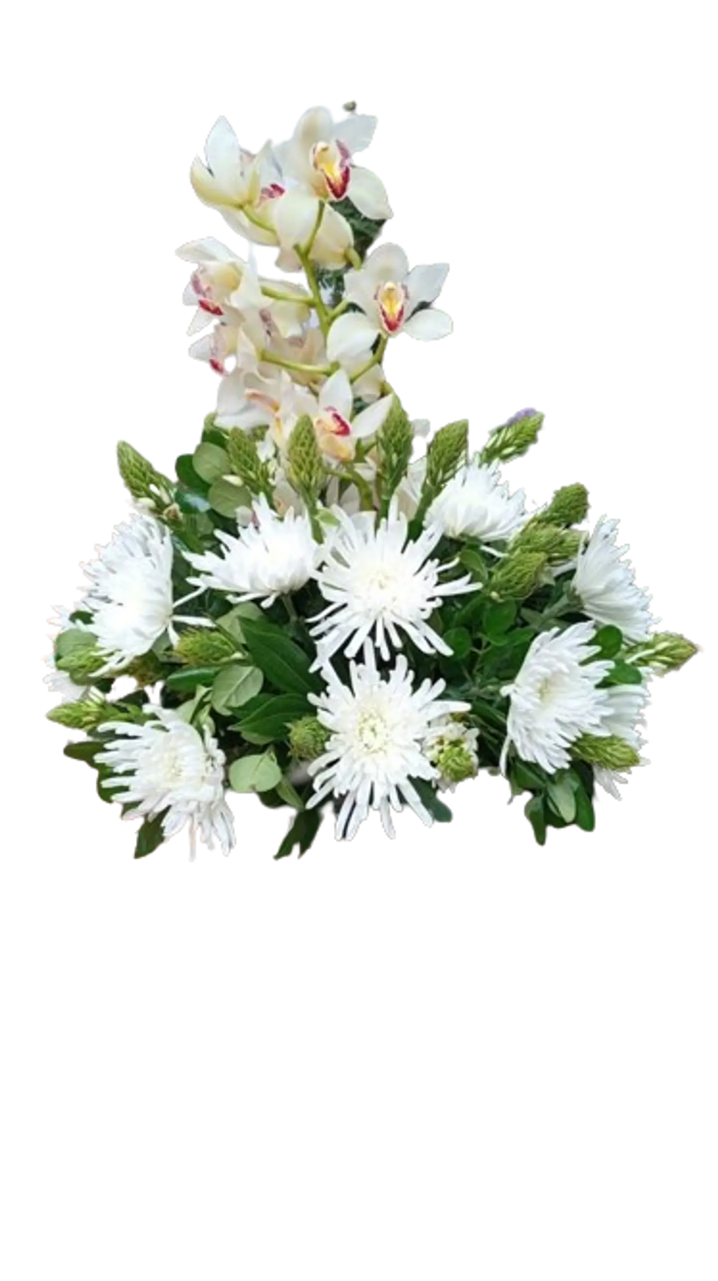 Arreglo de Orquídea en Primavera 1