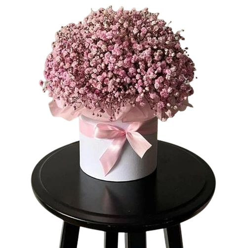 Caja Floral de Gypsofilia Rosada