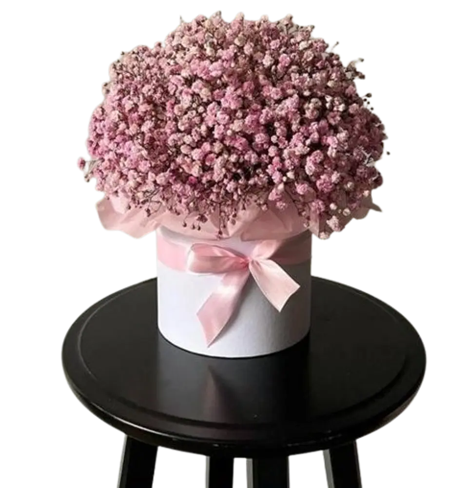 Caja Floral de Gypsofilia Rosada 1