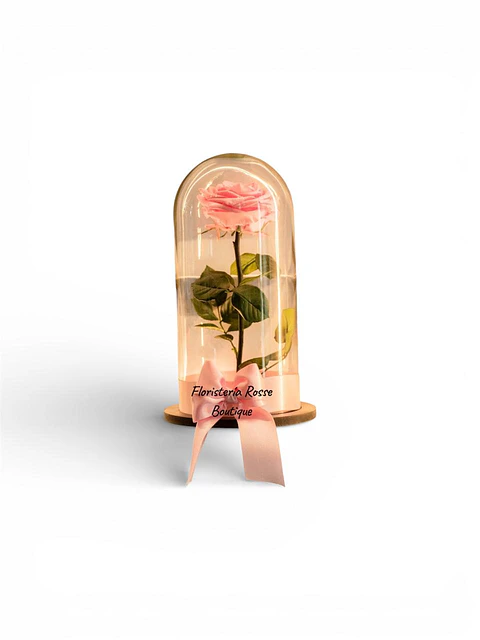 Rosa Preservada Rosada