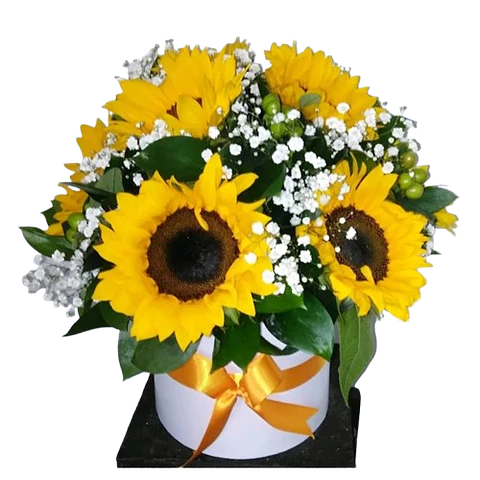 Caja de 10 Girasoles