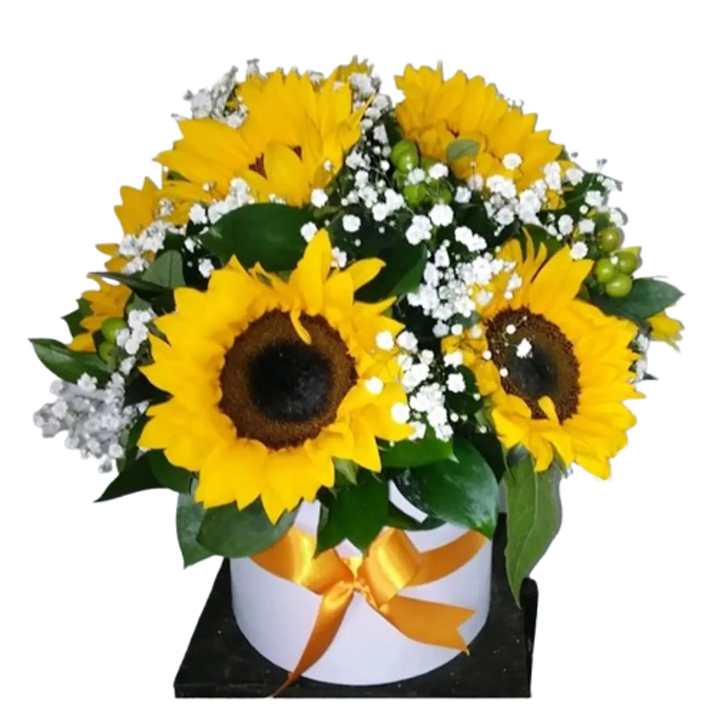 Caja de 10 Girasoles 1
