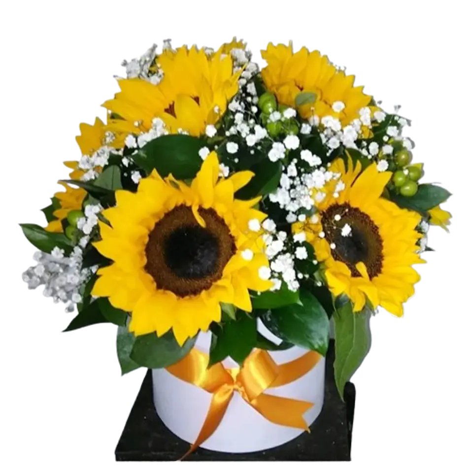 Caja de 10 Girasoles 1