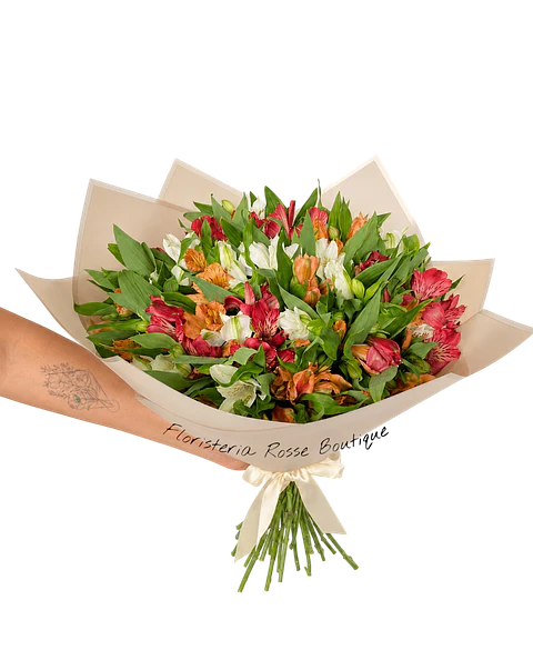 Bouquet de 50 Astromelias Surtida