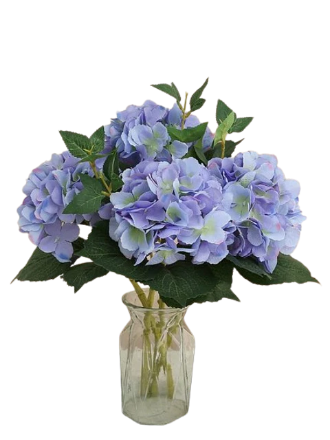 Jarrón con Hortensias