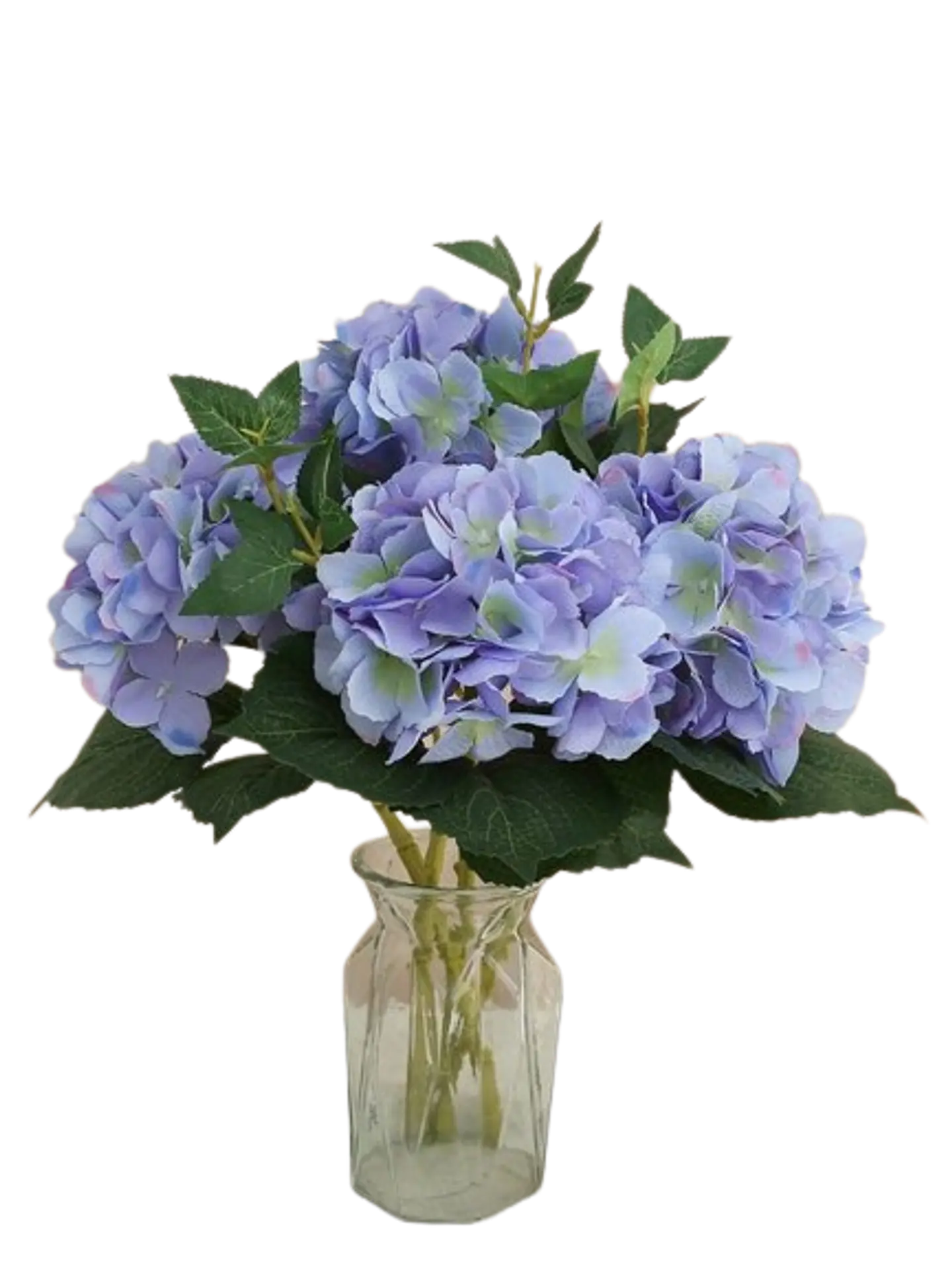 Jarrón con Hortensias 1