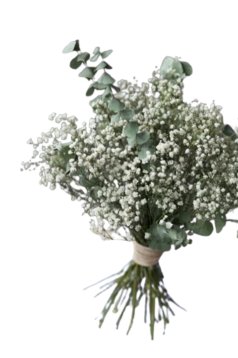 Bouquet de Gypsophila y Eucalipto Baby