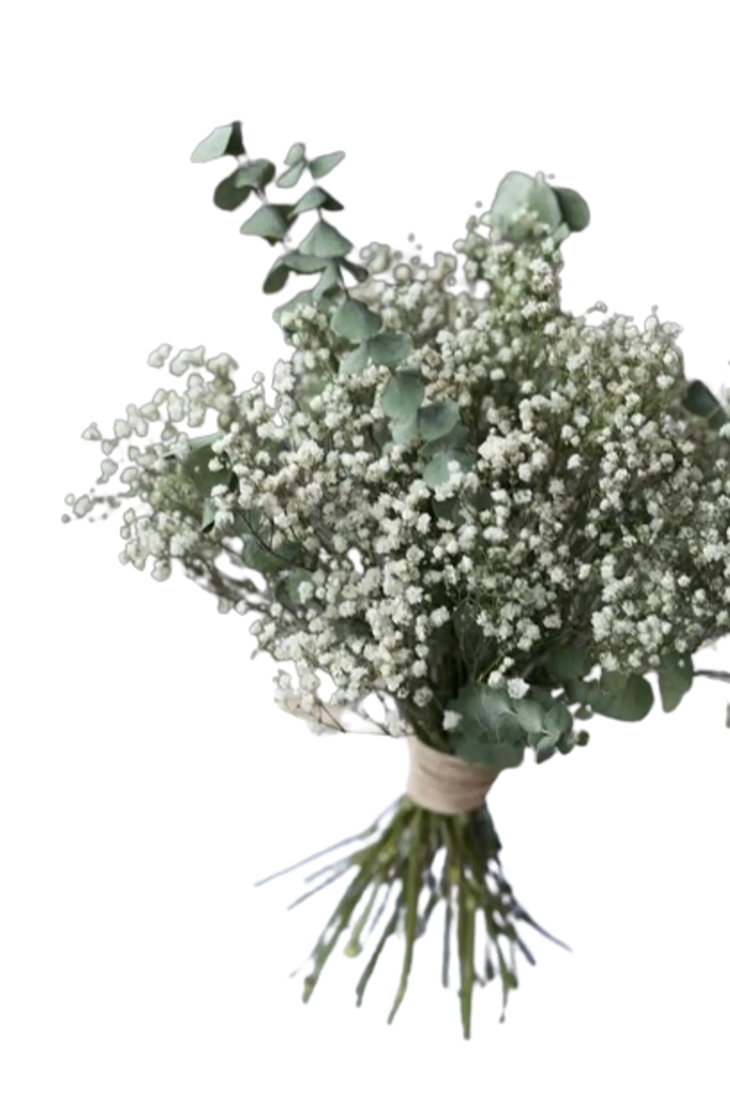 Bouquet de Gypsophila y Eucalipto Baby 1
