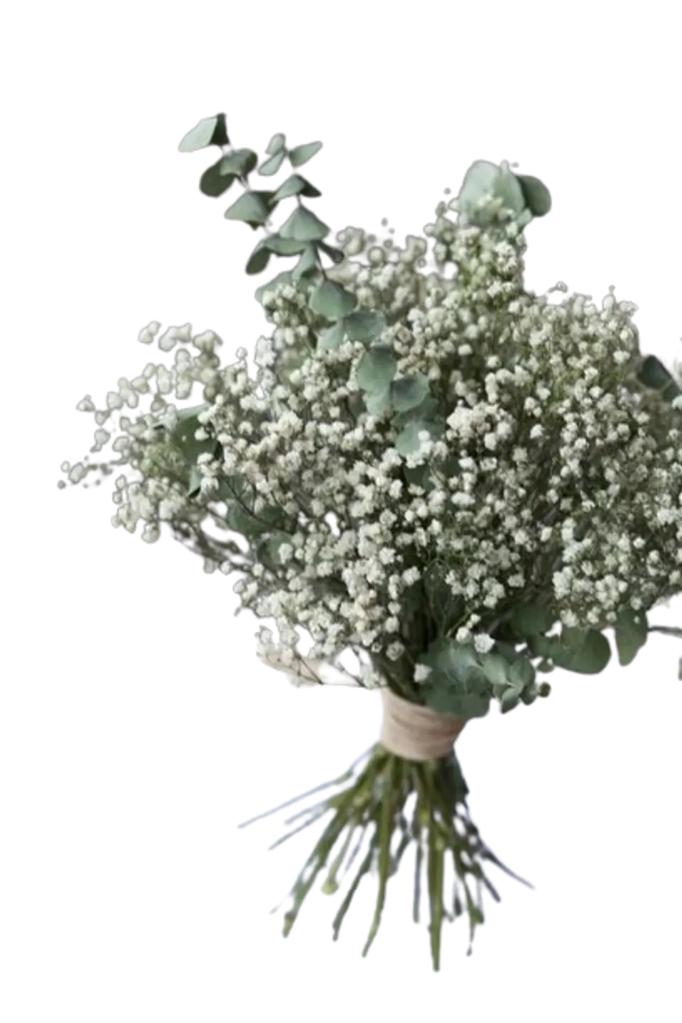 Bouquet de Gypsophila y Eucalipto Baby 1