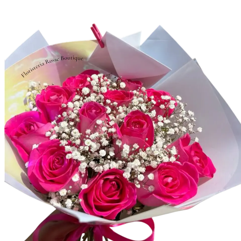 Bouquet de 12 Rosas Fucsias Gypsophila 1
