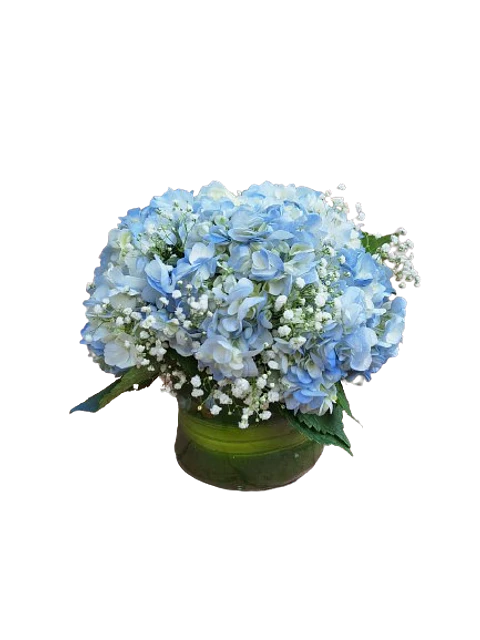Jarrón de 4 Hortensias Azules