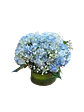 Jarrón de 4 Hortensias Azules - Miniatura 1