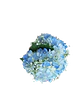 Jarrón de 4 Hortensias Azules - Miniatura 2