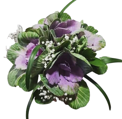 Bouquet de 4 Repollas