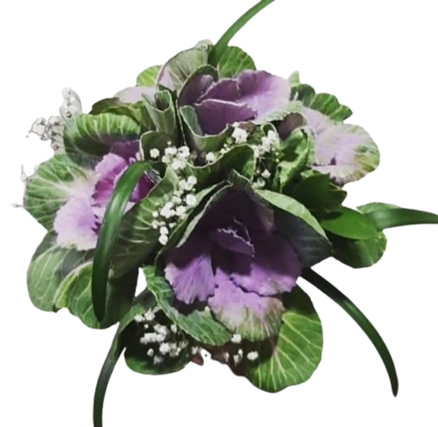Bouquet de 4 Repollas 1