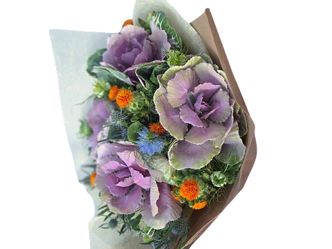 Bouquet de Repollas