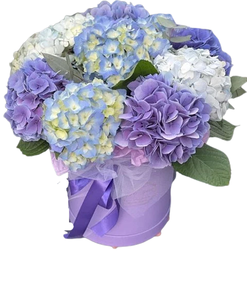 Caja Floral con Hortensias