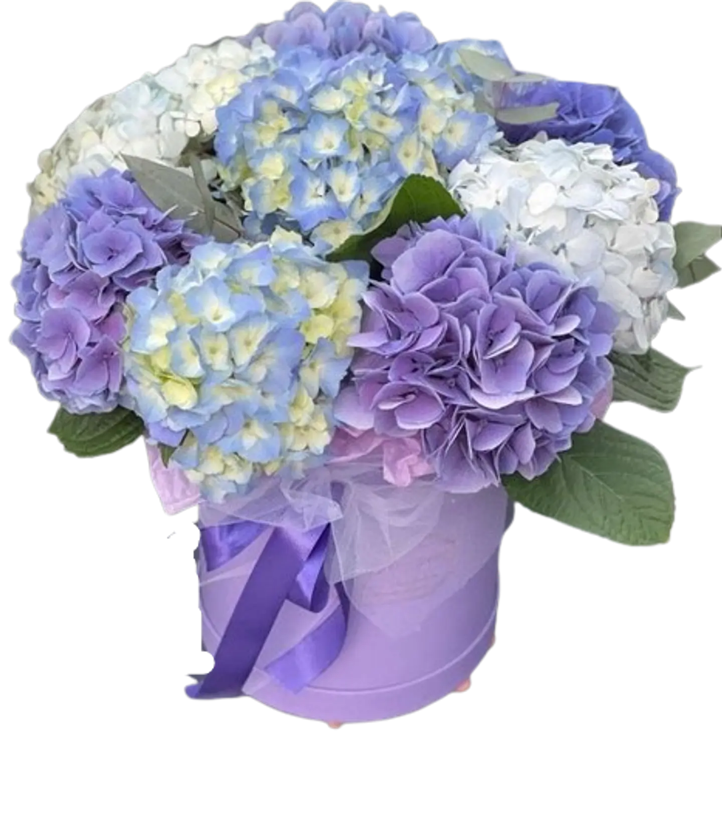Caja Floral con Hortensias 1