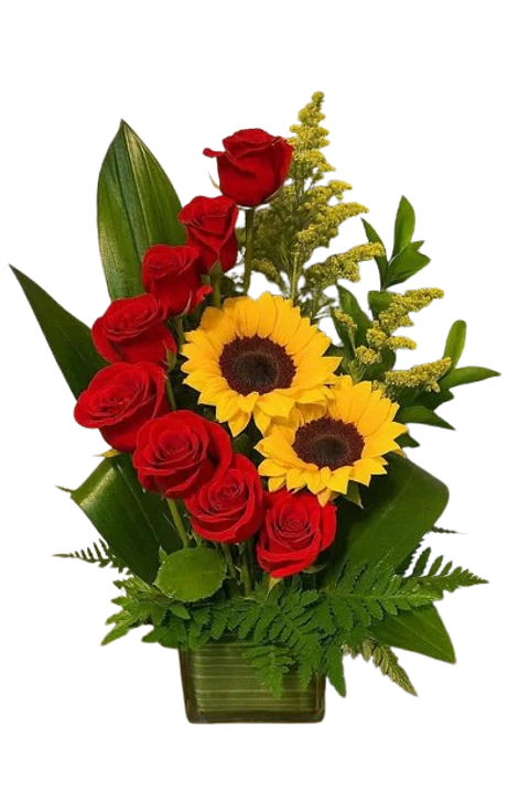 Arreglo de 8 Rosas Rojas y Dos Girasoles