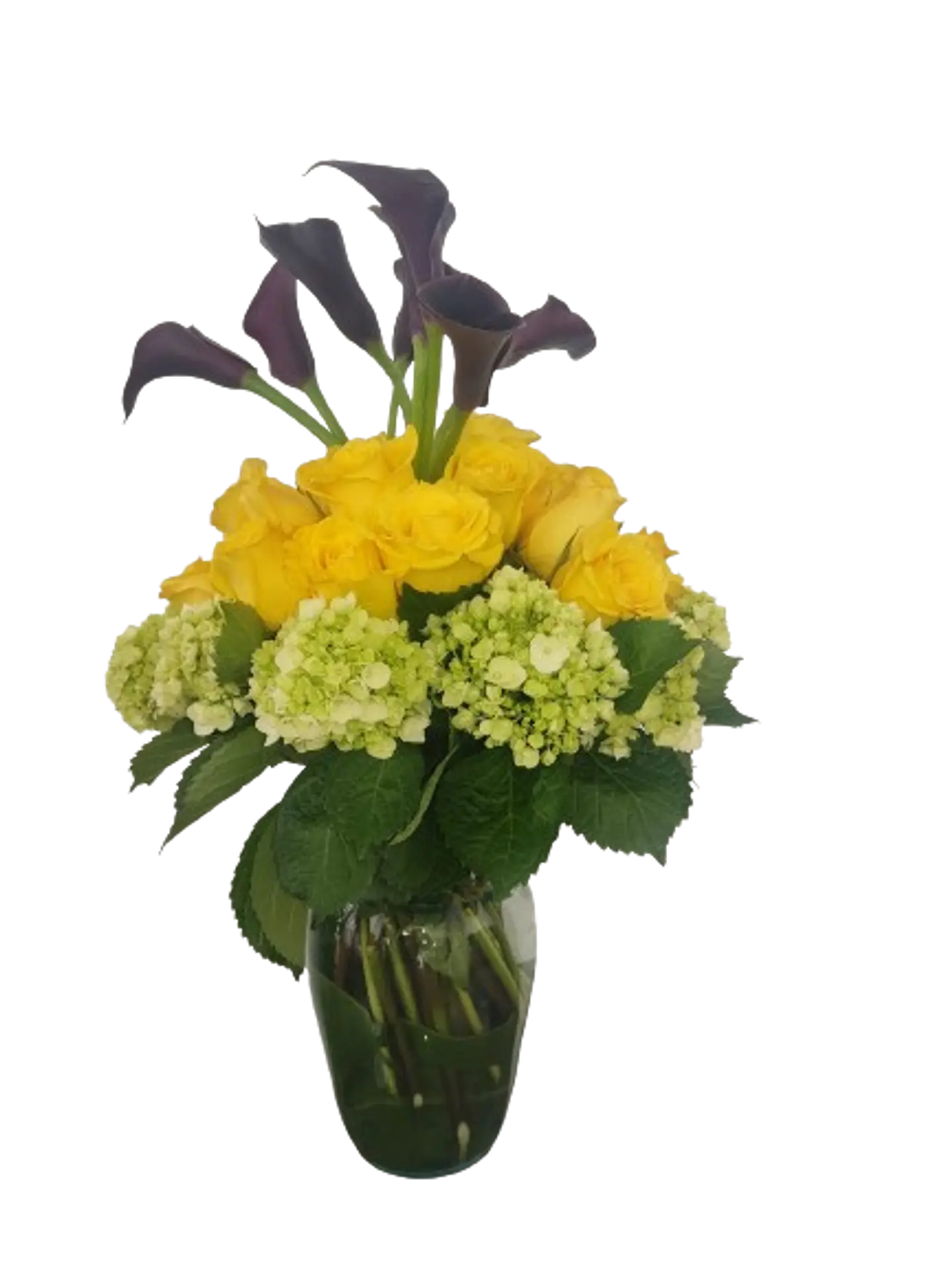 Florero Estelar 1
