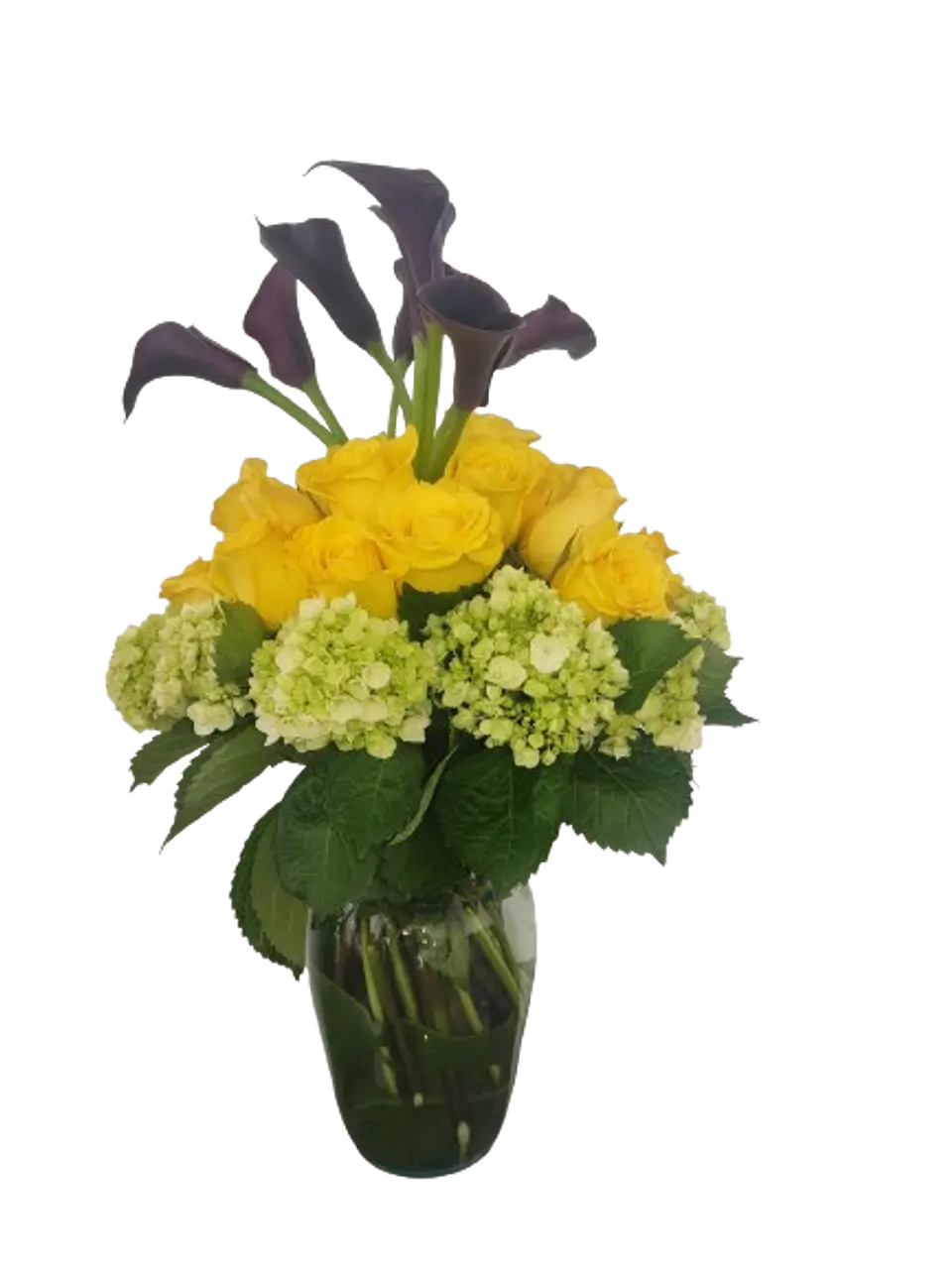 Florero Estelar 1