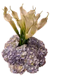 Arreglo de Cartuchos y Hortensias - Miniatura 1