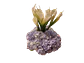Arreglo de Cartuchos y Hortensias - Miniatura 3