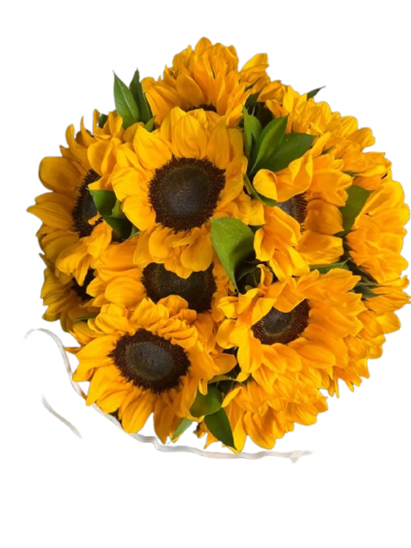 Bouquet de 8 Girasoles en Papel Coreano Negro 2