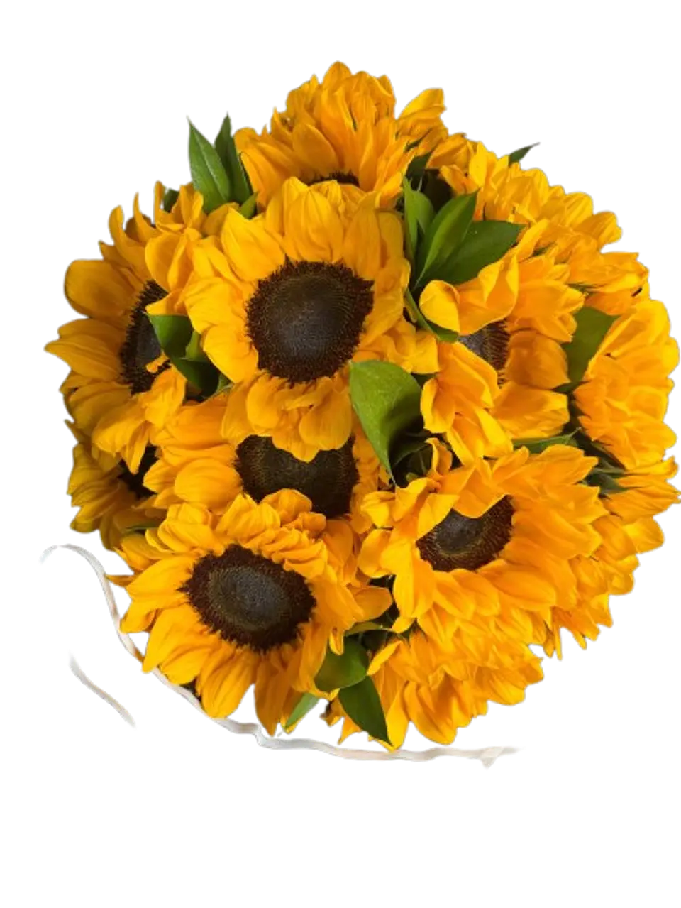 Bouquet de 8 Girasoles en Papel Coreano Negro 2