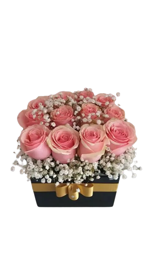 Caja con 12 Rosas Rosadas