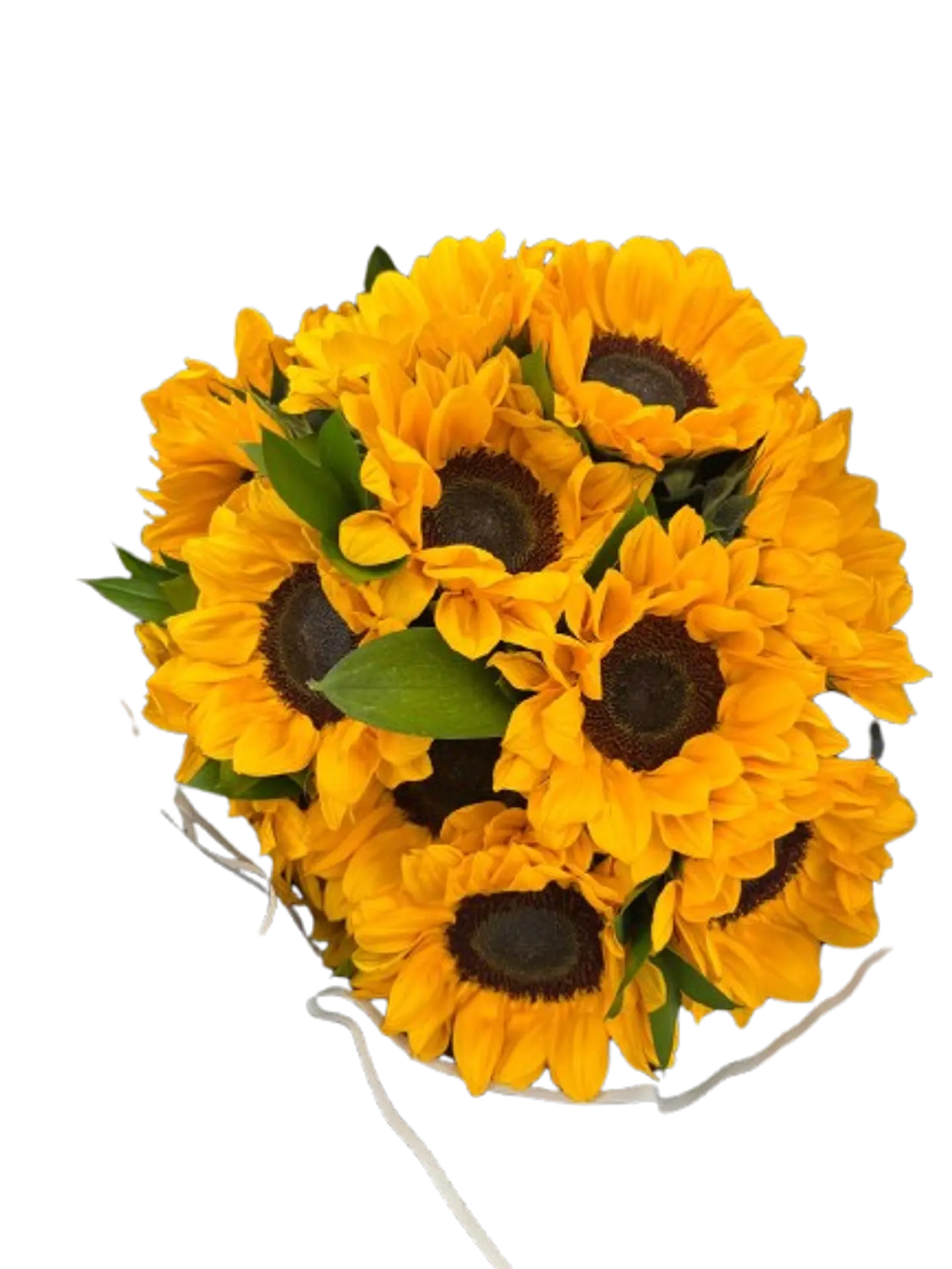 Bouquet de 8 Girasoles en Papel Coreano Negro 3