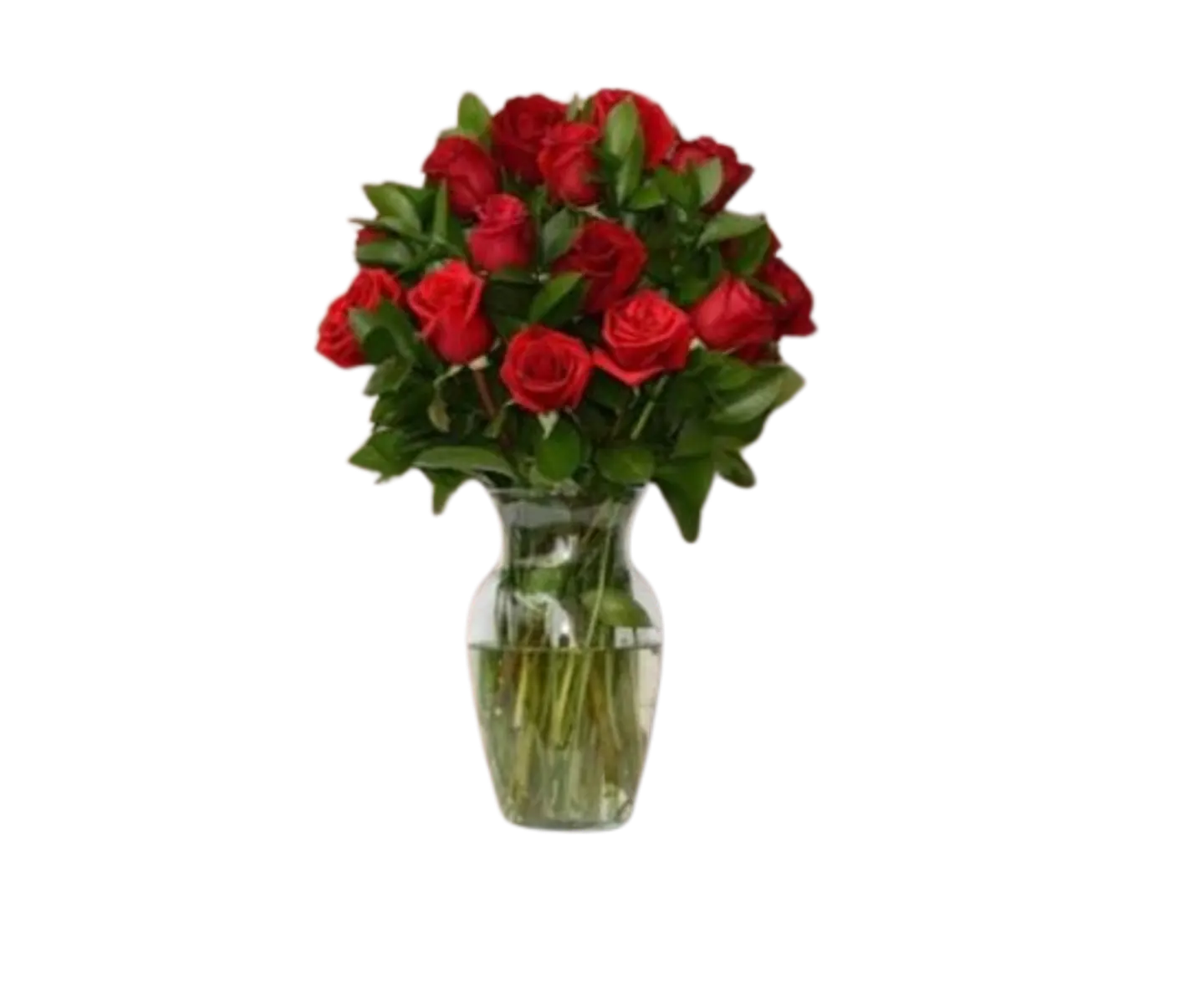 Jarrón con 24 Rosas Rojas 1