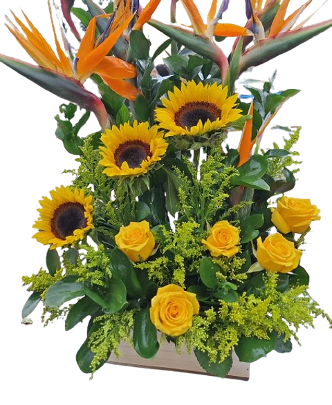 Arreglo de Girasoles, Aves de Paraíso y Rosa Amarilla
