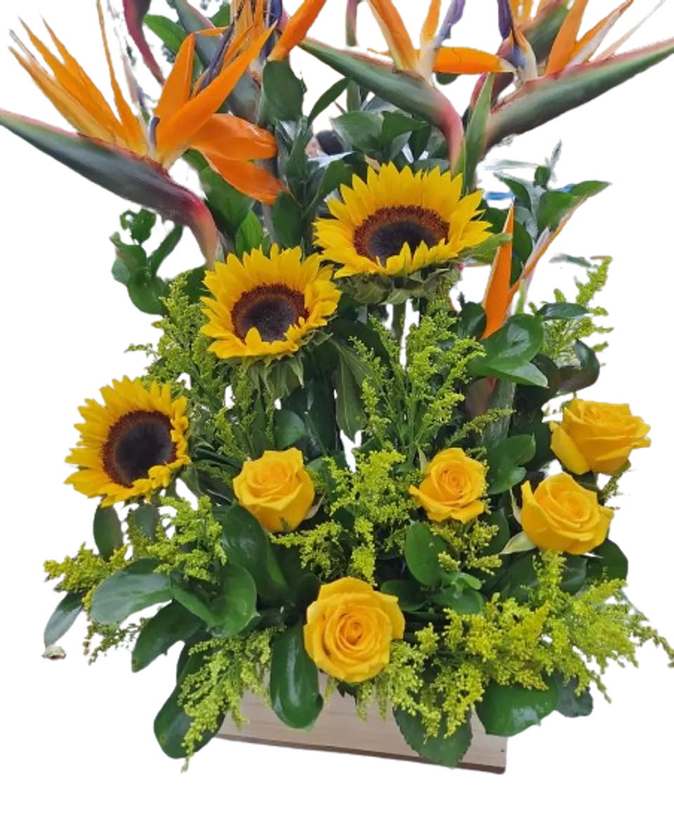 Arreglo de Girasoles, Aves de Paraíso y Rosa Amarilla 1