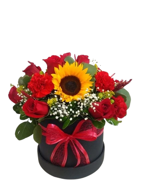 Caja de 12 Rosas Rojas y 2 Girasoles