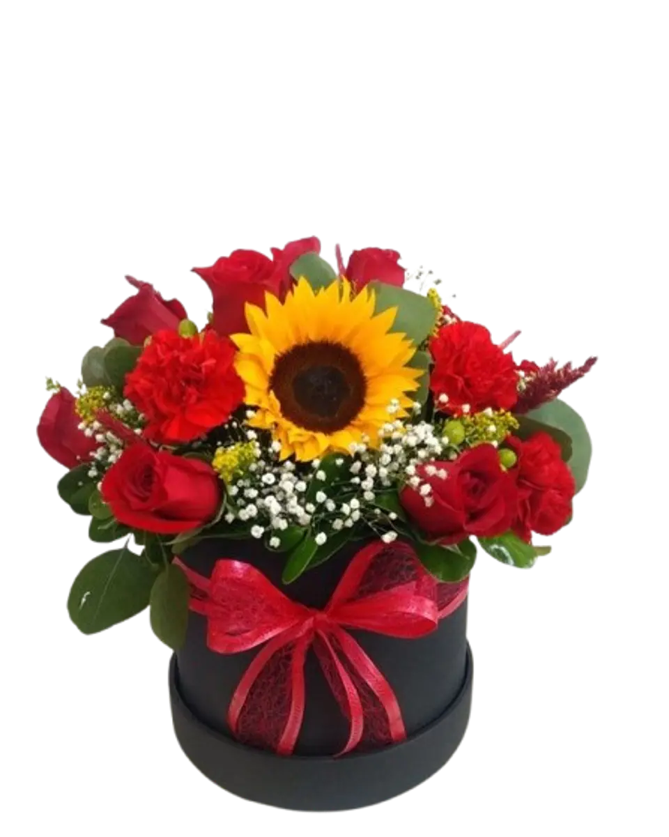 Caja de 12 Rosas Rojas y 2 Girasoles 1