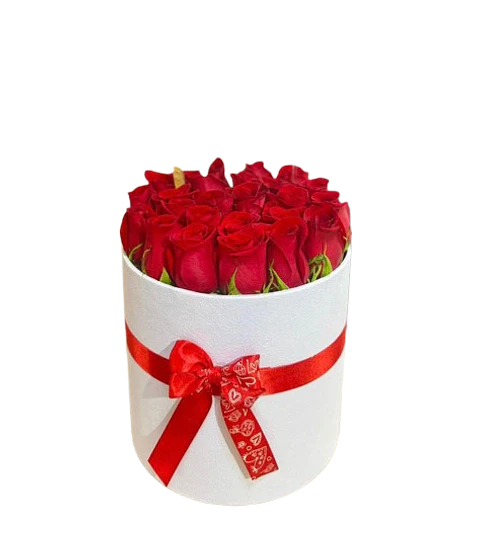 Cilindro Blanco de 24 Rosas Rojas