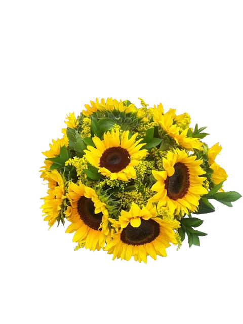 Esplendor del Sol
