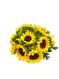 Esplendor del Sol - Miniatura 2