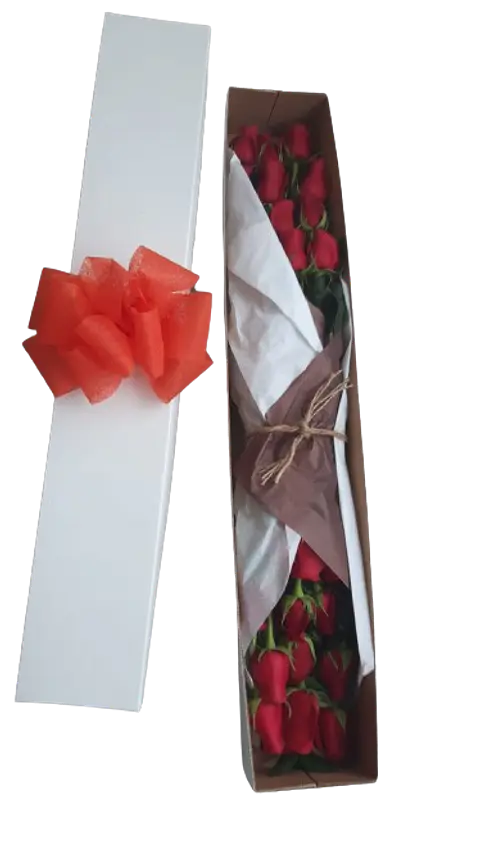 Caja de 24 Rosas Rojas