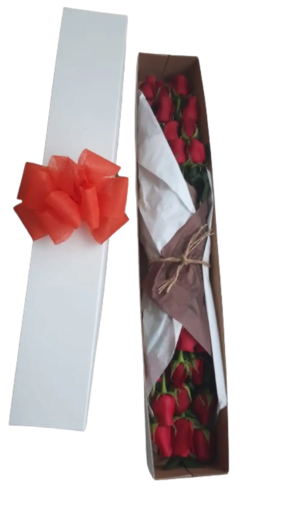 Caja de 24 Rosas Rojas 1