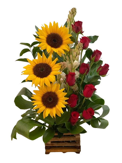 Arreglo de 12 Rosas Rojas y 3 Girasoles