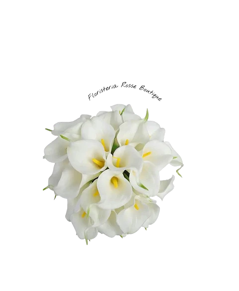 Paquete de Cartuchos Blancos