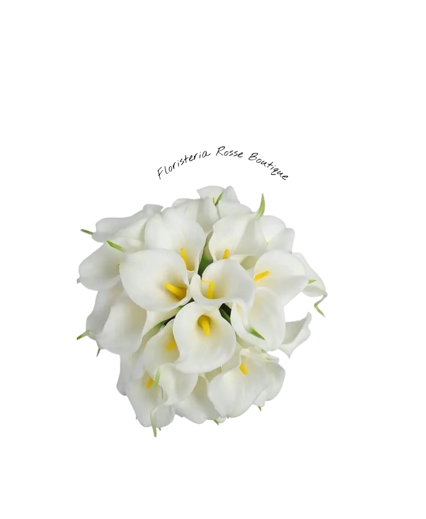 Paquete de Cartuchos Blancos 1