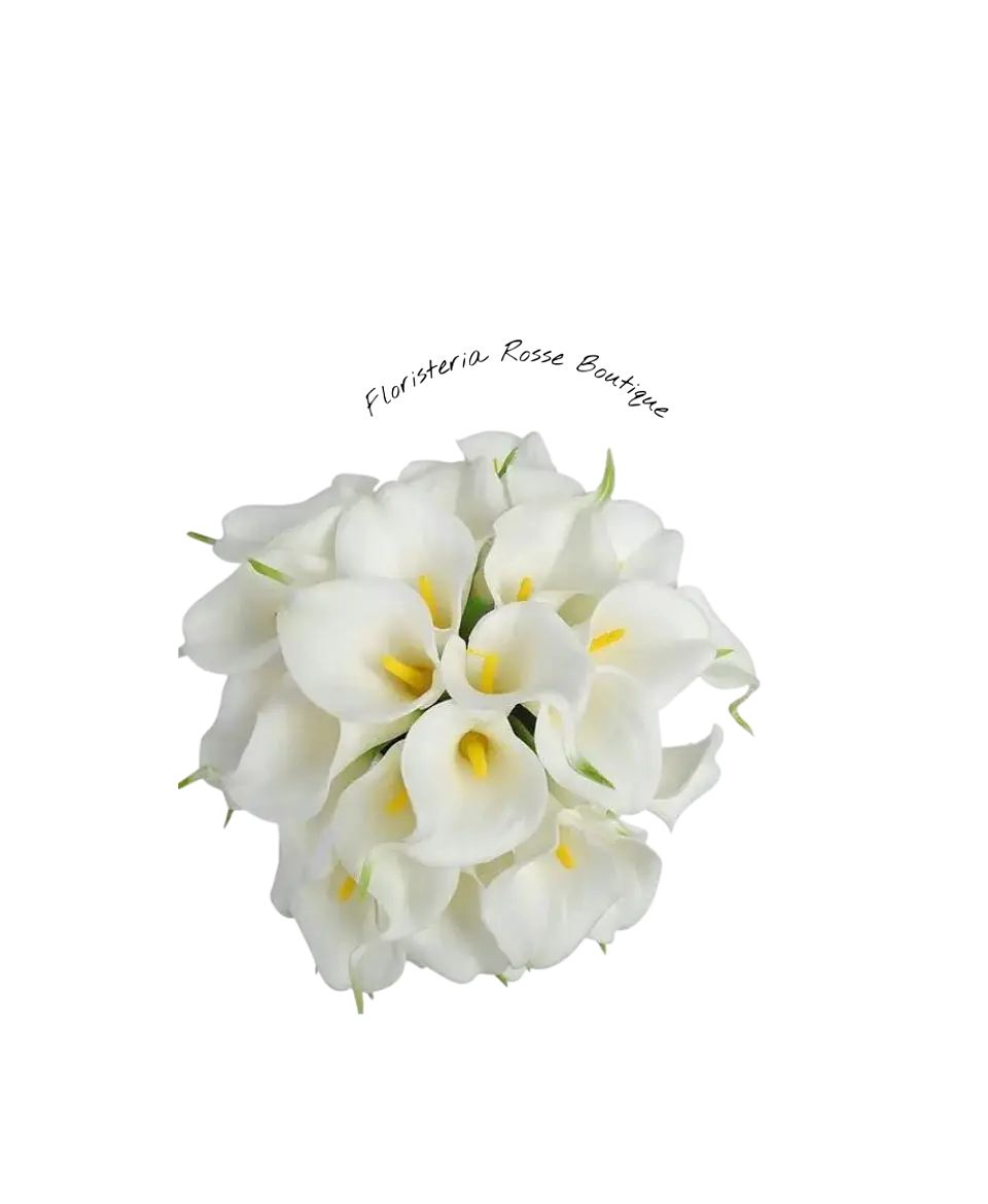 Paquete de Cartuchos Blancos 1