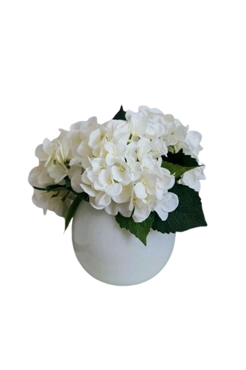 Jarrón Bombonera con 4 Hortensias Blancas